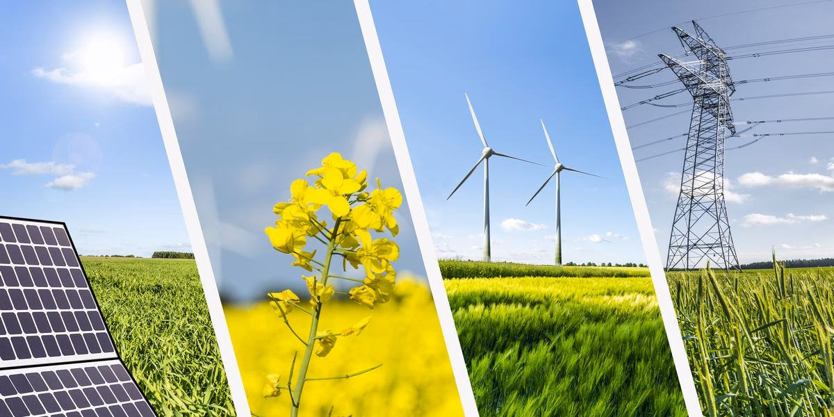 ¿El turismo es un recurso renovable o no renovable?