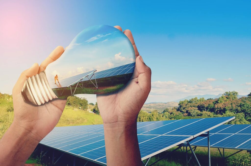 Pólizas Renovables Condicionalmente: ¿Qué Son?