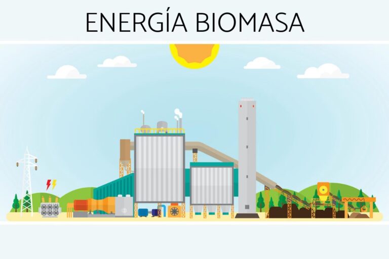 Biomasa: La Energía Renovable de la Naturaleza