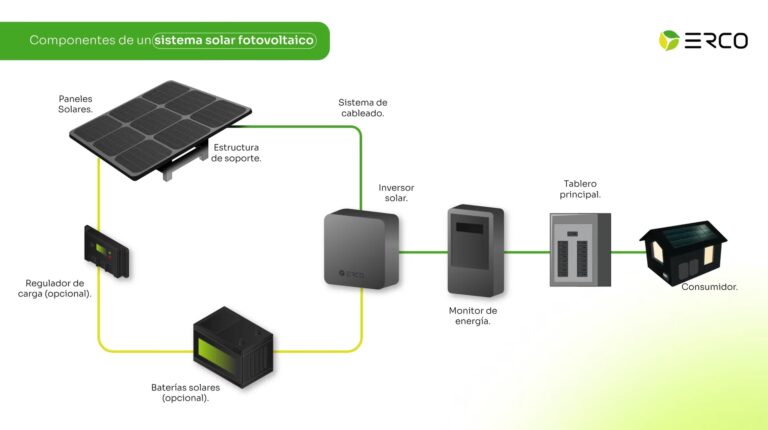 Paneles Solares: Creadores de Ecosistemas