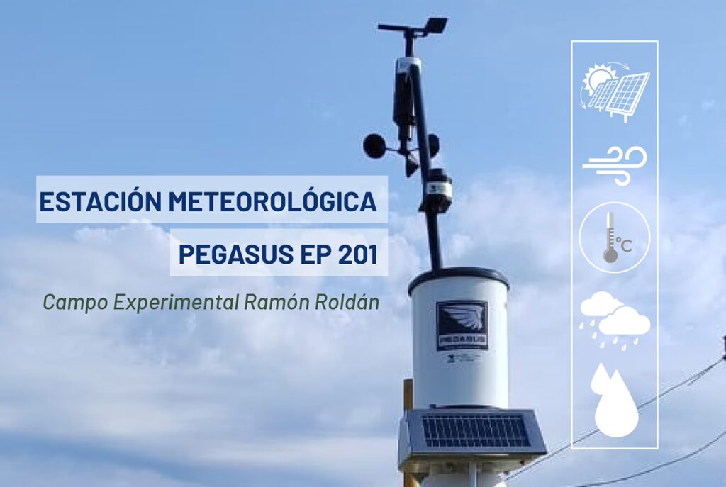 Tempest: La Estación Meteorológica Solar Inteligente