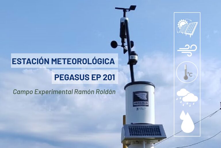 Tempest: La Estación Meteorológica Solar Inteligente