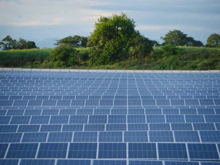 Exenciones en ARBA: Guía Completa de IIBB