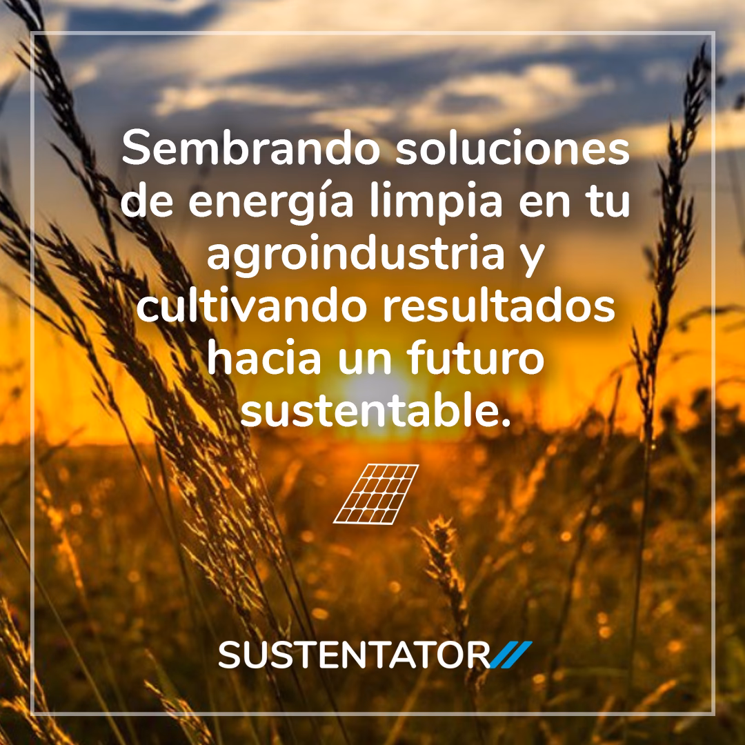 ¿Cuál es el lema de las energías renovables?