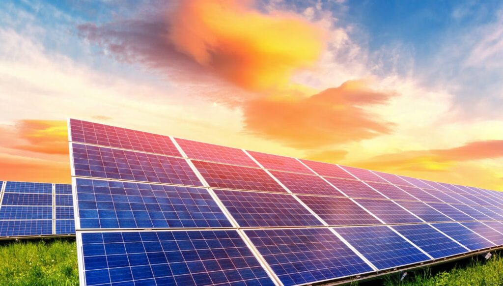 Interconexión CFE: Guía para Paneles Solares