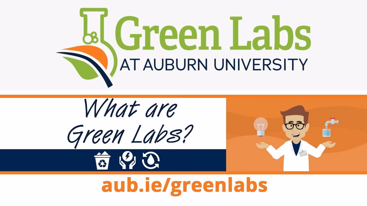 ¿Qué tipo de investigación realiza Greenlab?