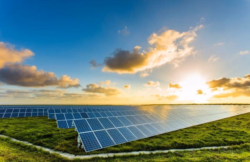 ¿Qué empresas son buenas en marketing verde?