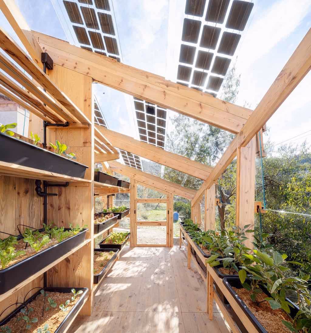 ¿Cuál es el cultivo hidropónico más rentable?