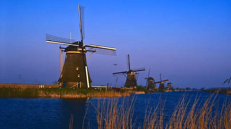 ¿Qué medidas siguen los Países Bajos para adaptarse al cambio climático?