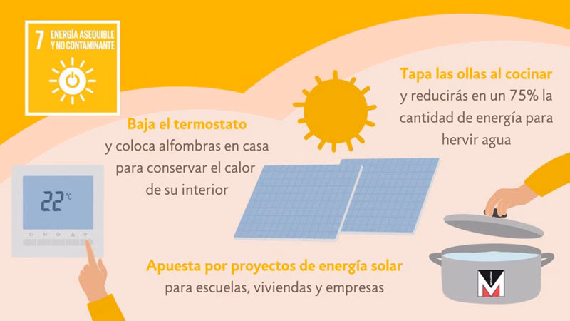 ¿Cuál es el papel de las energías renovables en un futuro sostenible?