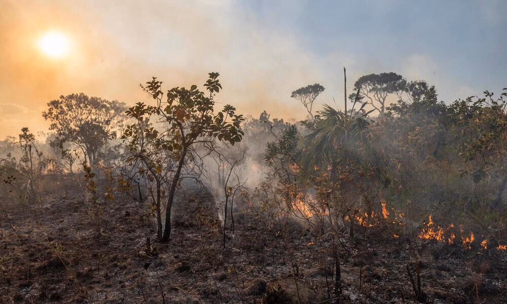 ¿Qué provocó el incendio en el Amazonas?