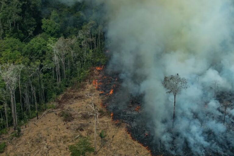 Los peores incendios forestales de la historia