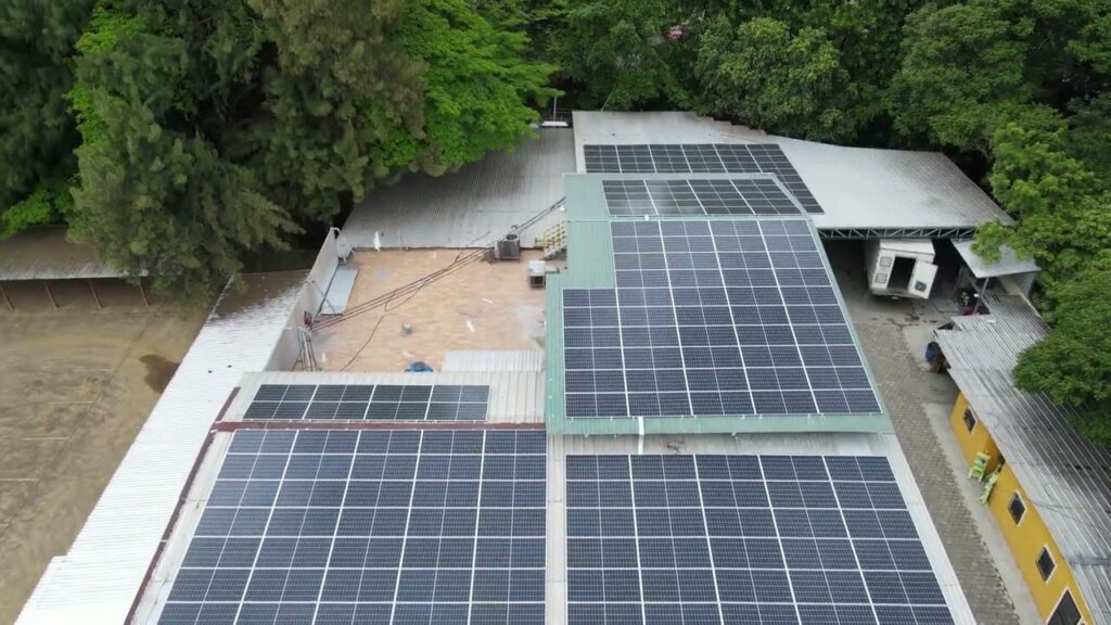 Incubadora Solar: Guía de Costo y Consumo