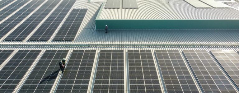 Paneles Solares para Uso Industrial: Guía Completa