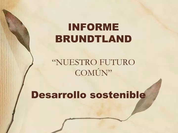 ¿Qué es el desarrollo sustentable según el Informe Brundtland?