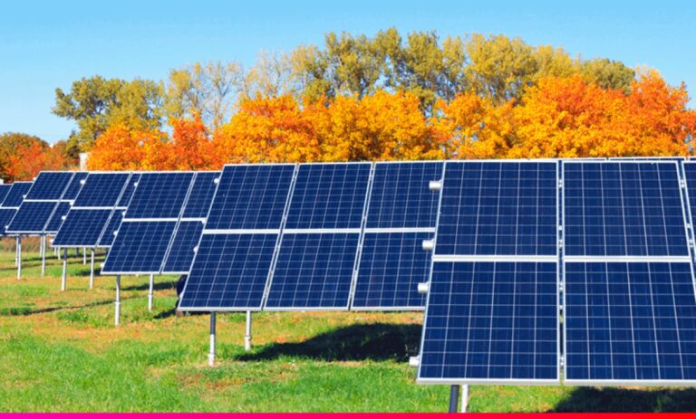 Ingeniería y Energía Solar: Tu Futuro Profesional