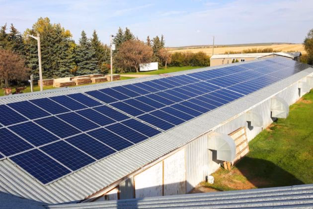 ¿Cuánto dinero se necesita para poner una granja de huevos?