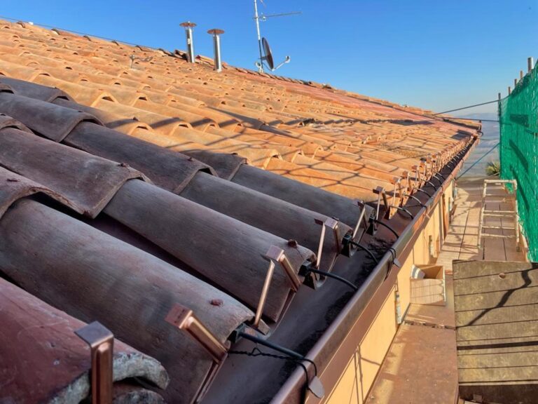 Paneles Solares Transparentes: Costo y Eficiencia