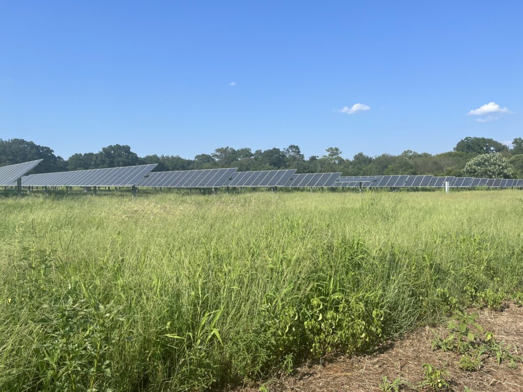 El Legado Solar de Jimmy Carter: Del Techo al Pueblo