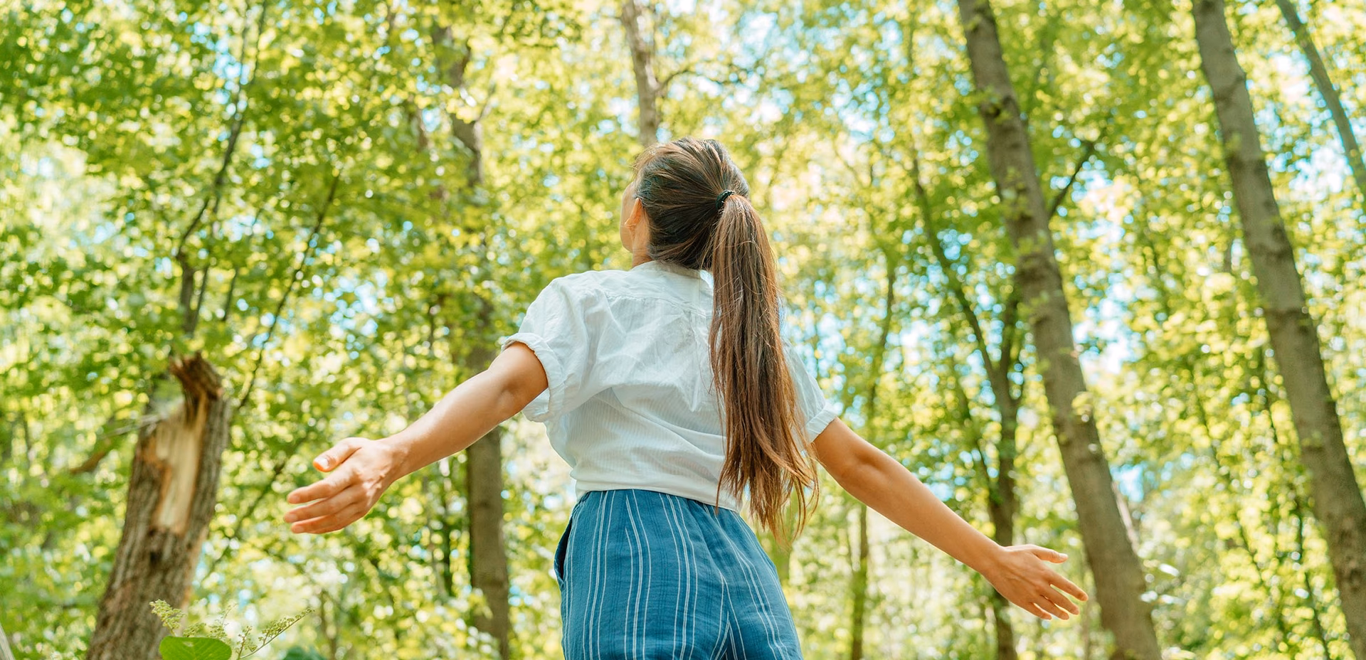 ¿Cuál es el papel de los jóvenes en el cuidado del medio ambiente?