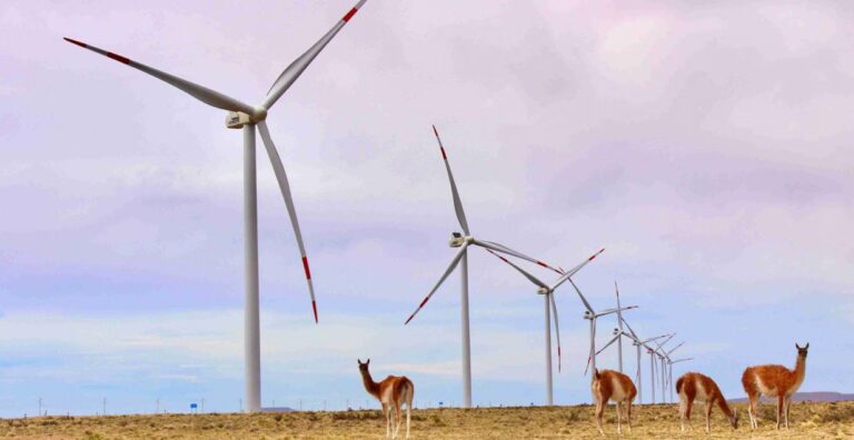 Energía Solar: Motor del Agro en la Patagonia