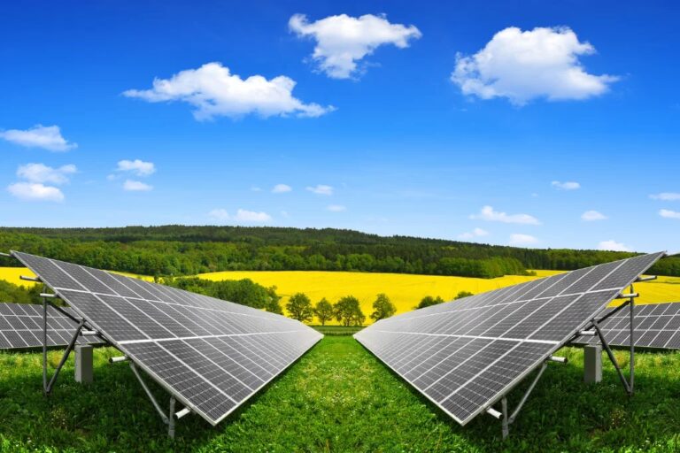 Voluntariado Ambiental: Acción por el Planeta