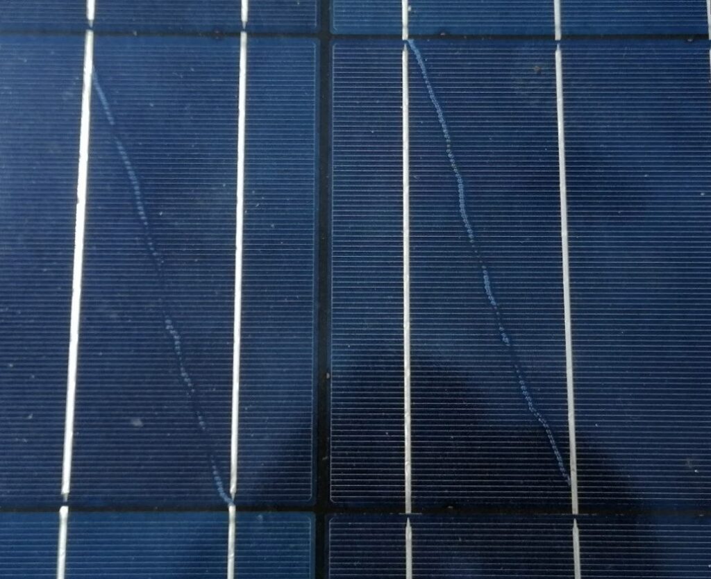 El Secreto de las Líneas Blancas en Paneles Solares