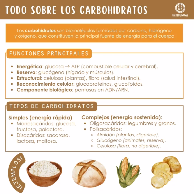¿Qué pasa cuando el cuerpo pide carbohidratos?