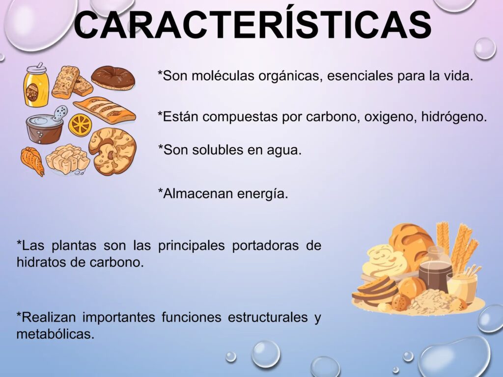 Carbohidratos: La Energía Vital de tu Cuerpo