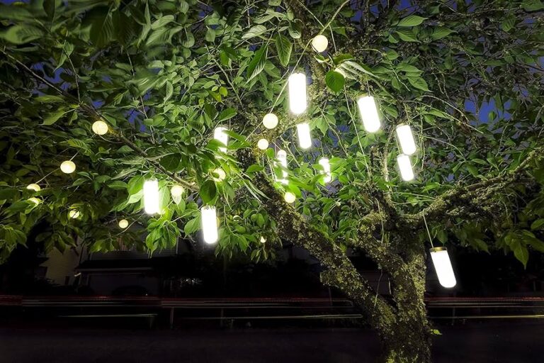 Guía para Iluminar Árboles con Luces Solares