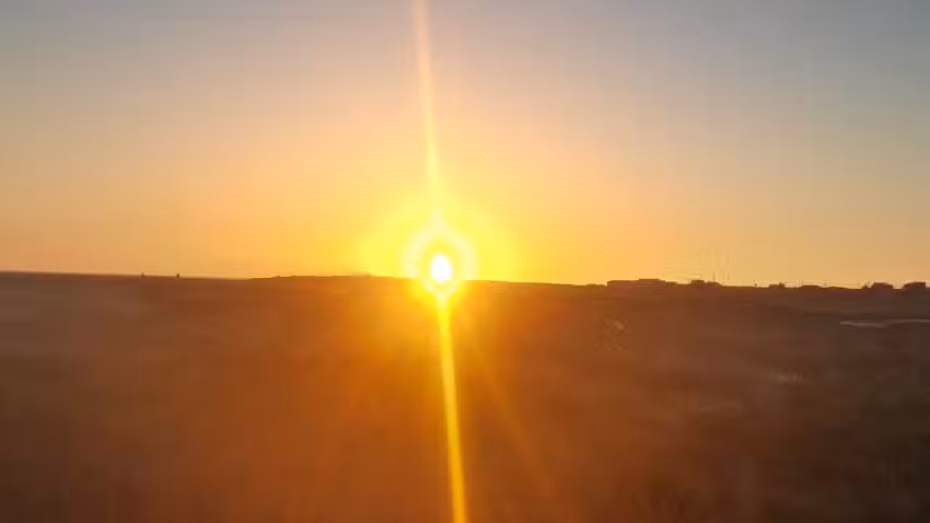 M Solar