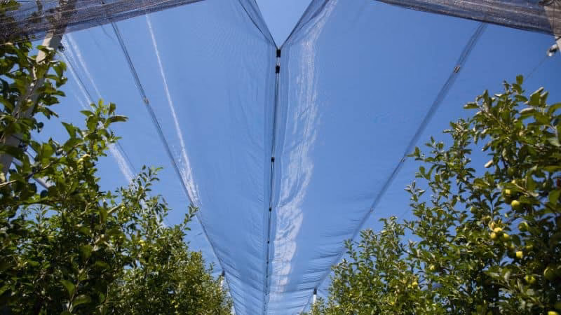 ¿Cuánto dura una malla antigranizo?