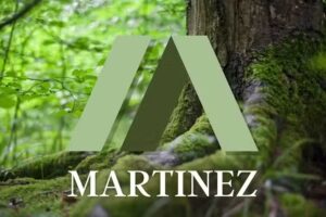 Martinez Consultora HSE