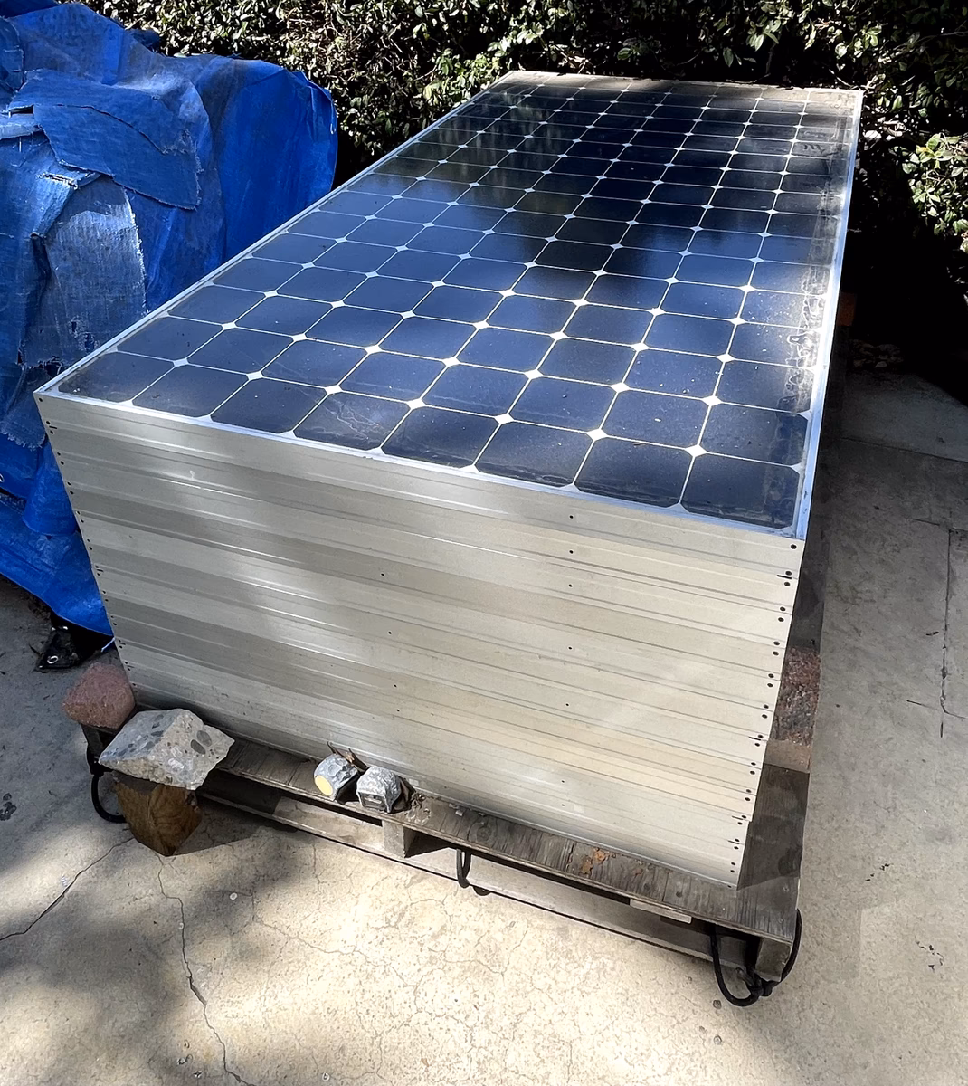 Why is Maxeon Solar falling?