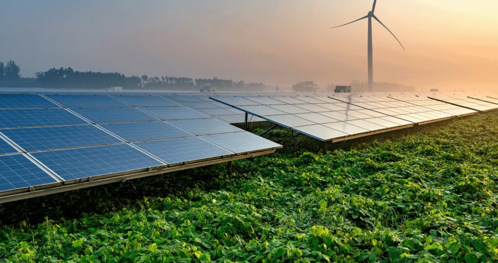 Paneles Solares Verdes: La Revolución Estética