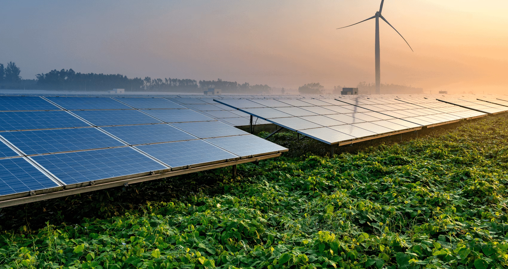 ¿Qué mineral hay en los paneles solares?