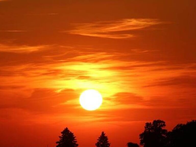 Sungazing: ¿Energía Divina o Peligro Ocular?