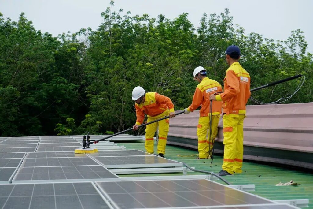 China: El Gigante Exportador de Paneles Solares