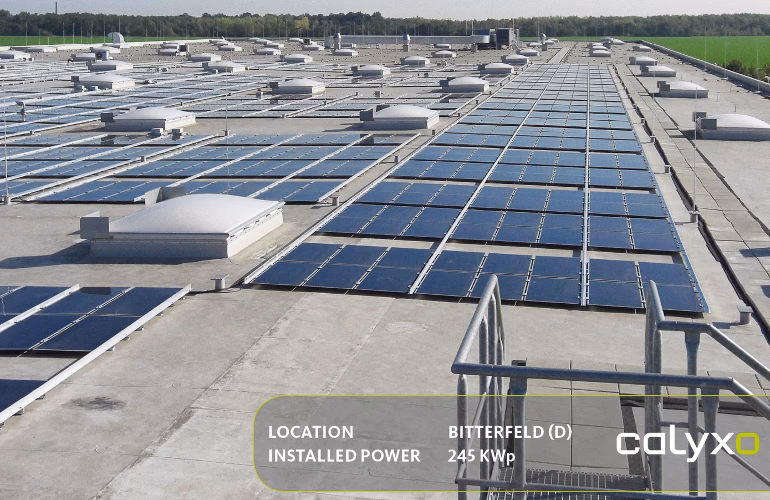 ¿Cuál es el proceso de contratación en Calyxo?