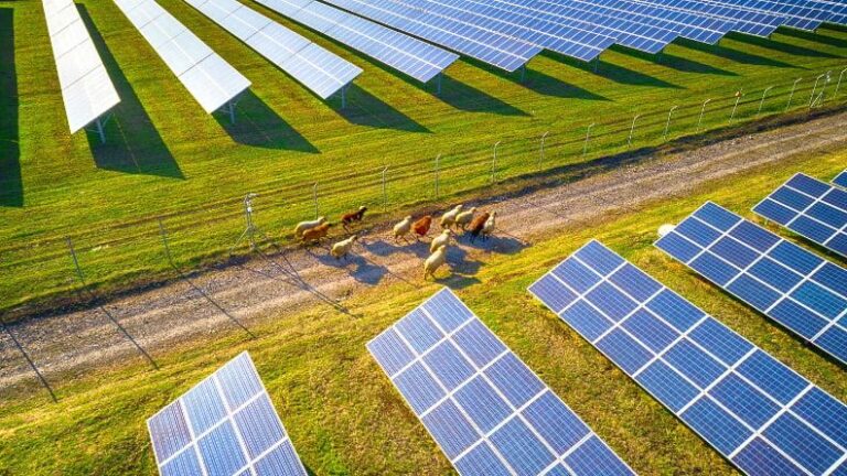 Parques Solares Abandonados: ¿Qué Sucede al Final?