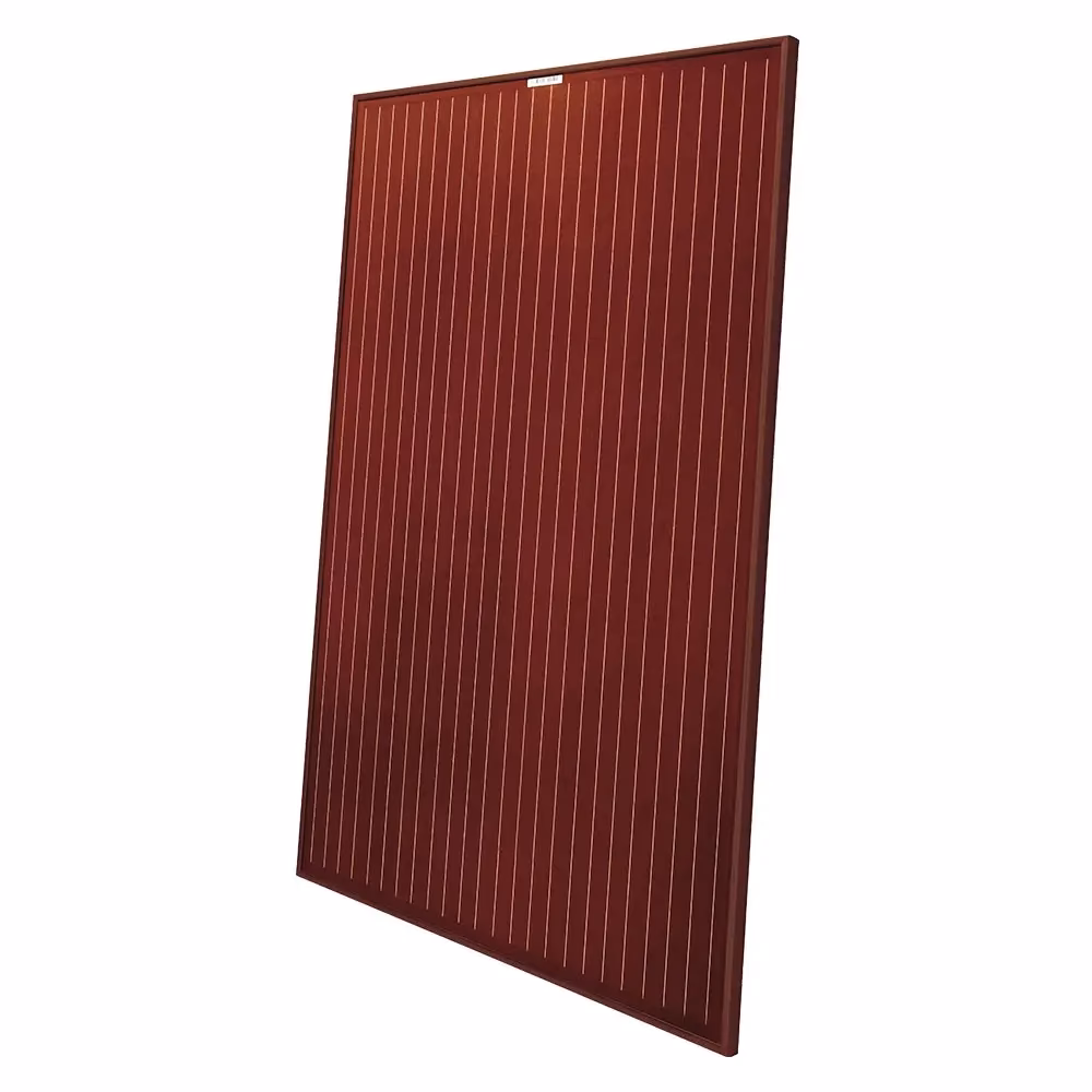 Paneles Solares: ¿Negro o Azul? El Color Importa