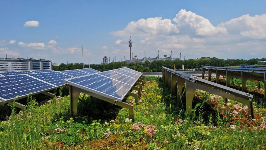 Biofotovoltaica: La Energía Viva del Sol