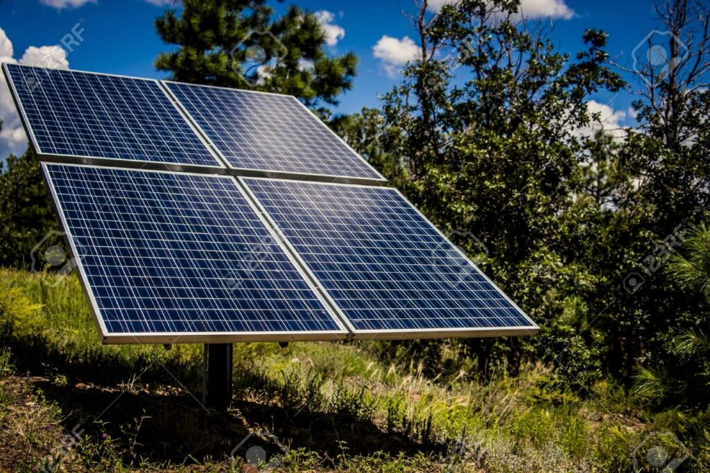 Paneles Solares en Zonas Boscosas: ¿Funcionan?