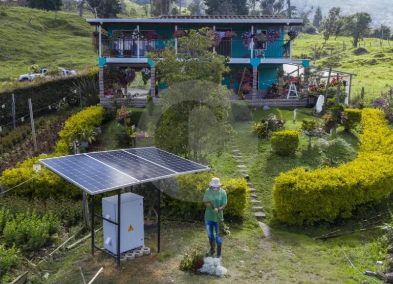 Paneles Solares en Zonas Boscosas: ¿Es Viable?