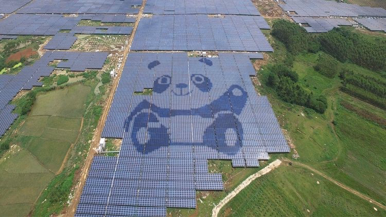 ¿Dónde está la granja solar con forma de panda?