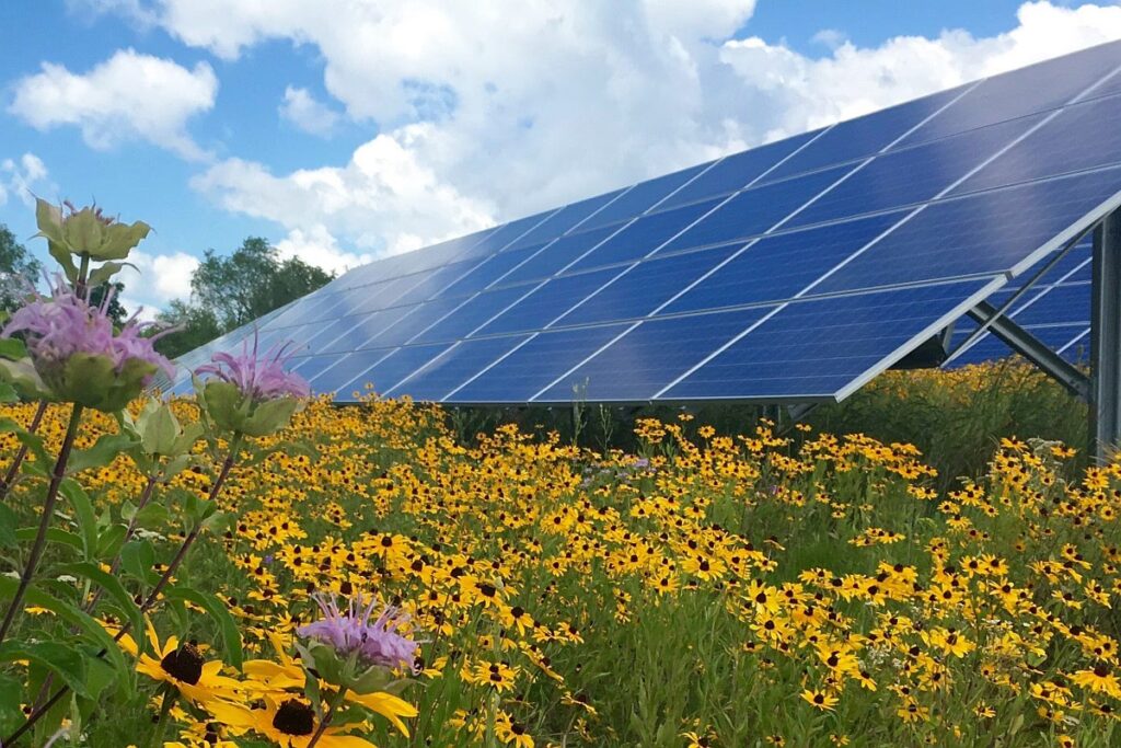 Energía Solar en Uruguay: Un Modelo de Éxito