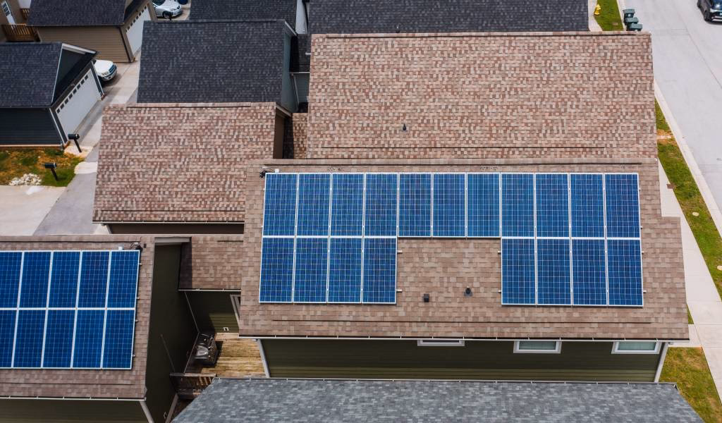 ¿Paneles lleva acento rae?