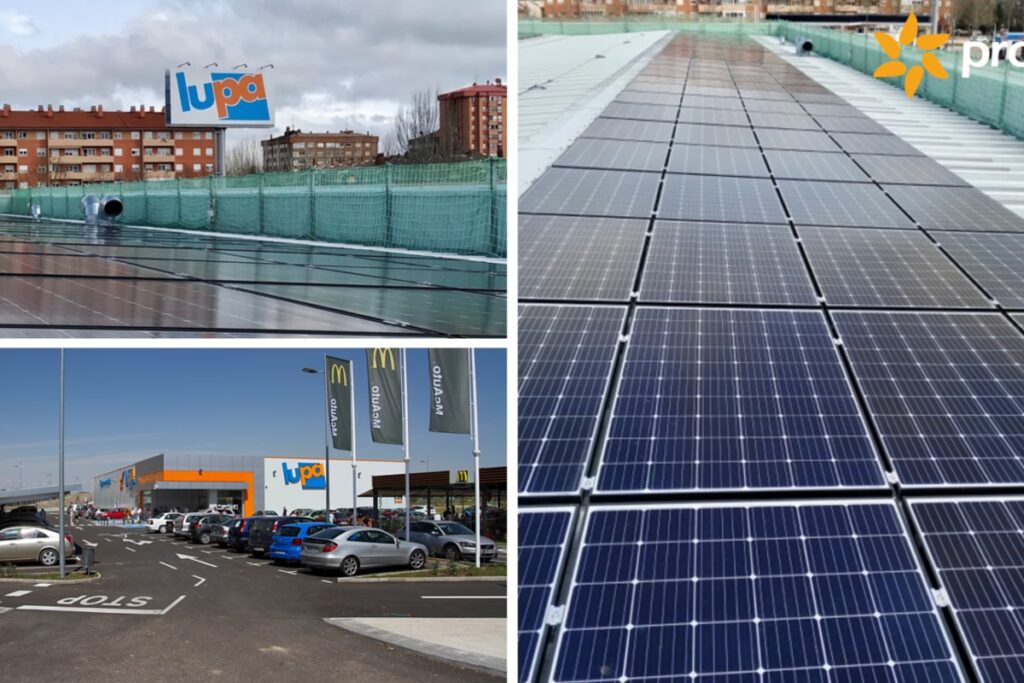 El Poder del Sol a Través de una Lupa