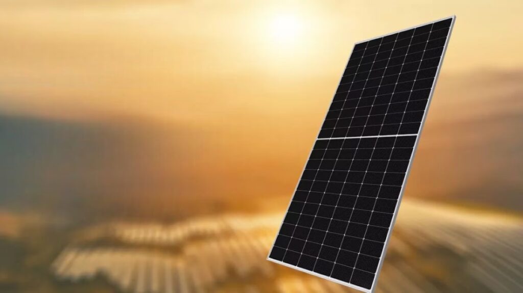 Sharp: El Gigante Japonés y su Nueva Era