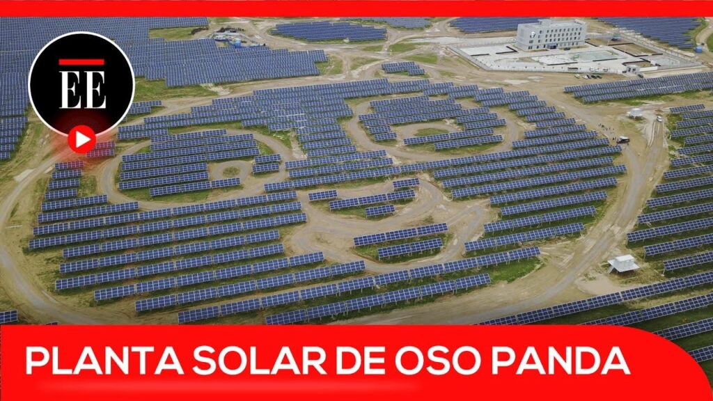Energía Solar: Un Rayo de Esperanza para el Panda